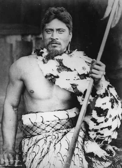 Taitua at Taumaranui, Kings Country, 1885 by Burton Brothers Studio